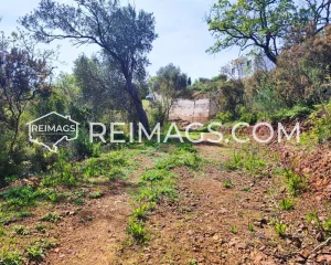 Property-for-sale-Bar-Montenegro