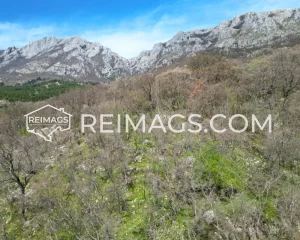 Real estate for sale with sea view Montenegro Bar