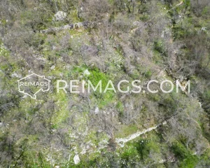 Real estate for sale with sea view Montenegro Bar