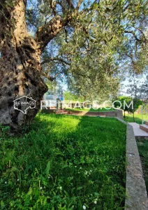 Haus mit Meerblick, Montenegro, Bar