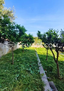 Haus mit Meerblick, Montenegro, Bar