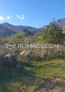 real-estate-for-sale-in- montenegro