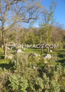 immobilien-zum-verkauf-in-montenegro