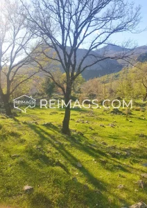 immobilien-zum-verkauf-in-montenegro