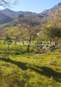 immobilien-zum-verkauf-in-montenegro