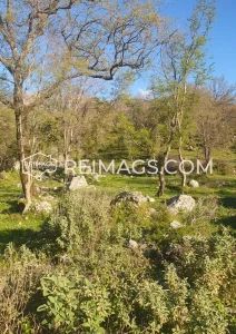 immobilien-zum-verkauf-in-montenegro