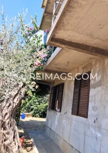 immobilien-zum-verkauf-in-montenegro-mit-meerblick-reimags