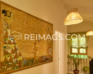 immobilien-zum-verkauf-in-montenegro-mit-meerblick